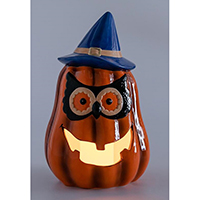 Halloween Lighting Decoration, Operated by 2xAA Batteries